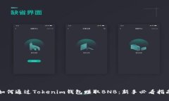 如何通过Tokenim钱包赚取BNB：新手必看指南