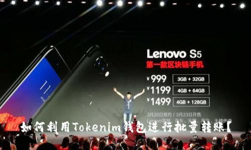 如何利用Tokenim钱包进行批量转账？