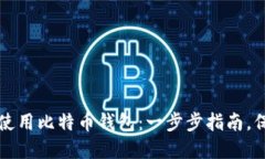 如何安全高效地使用比特币钱包：一步步指南，
