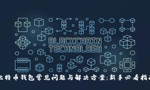 比特币钱包常见问题与解决方案：新手必看指南