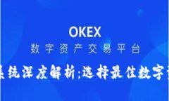 虚拟币钱包系统深度解析：选择最佳数字资产保