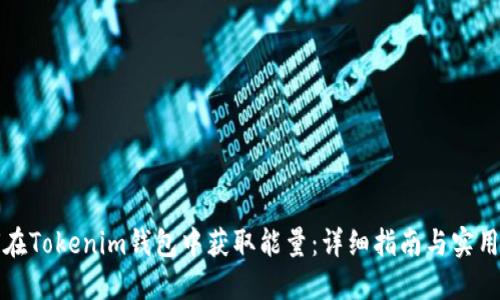 如何在Tokenim钱包中获取能量：详细指南与实用技巧
