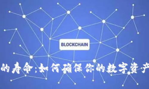 区块链钱包的寿命：如何确保你的数字资产安全和持久