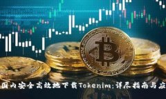 如何在国内安全高效地下载Tokenim：详尽指南与应
