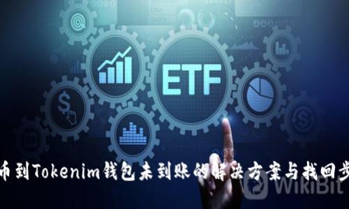 提币到Tokenim钱包未到账的解决方案与找回步骤