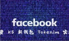 如何通过投资 KS 新钱包 Tokenim 实现财富增值？