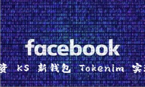如何通过投资 KS 新钱包 Tokenim 实现财富增值？