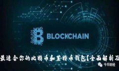 如何选择最适合你的比特币和莱特币钱包？全面