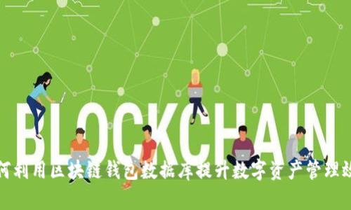 如何利用区块链钱包数据库提升数字资产管理效率