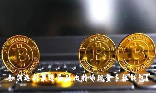 如何选择最适合的比特币现金手机钱包？