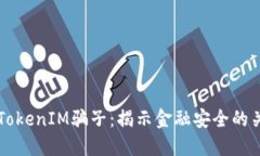 如何揪出TokenIM骗子：揭示金融安全的关键与对策
