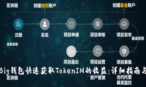 如何使用Big钱包快速获取TokenIM的收益：详细指南与实用技巧