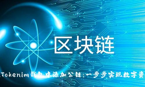 如何在Tokenim钱包中添加公链：一步步实现数字资产管理