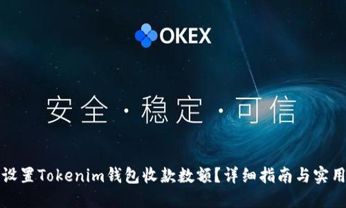 如何设置Tokenim钱包收款数额？详细指南与实用技巧