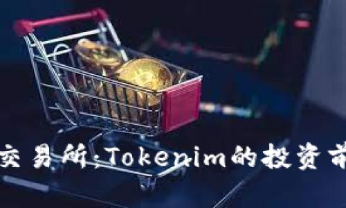 如何选择币新交易所：Tokenim的投资前景与策略指南