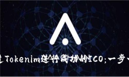如何通过Tokenim进行成功的ICO：一步一步指南