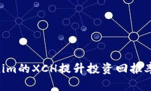 如何通过Tokenim的XCH提升投资回报率，实现财务自由