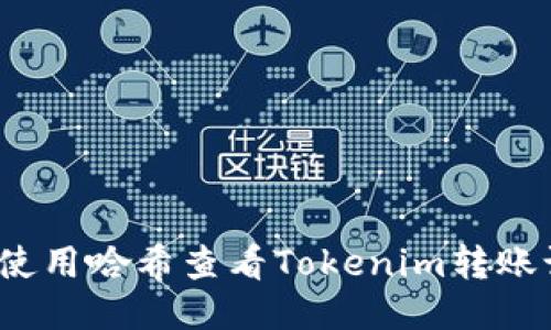 如何使用哈希查看Tokenim转账记录？