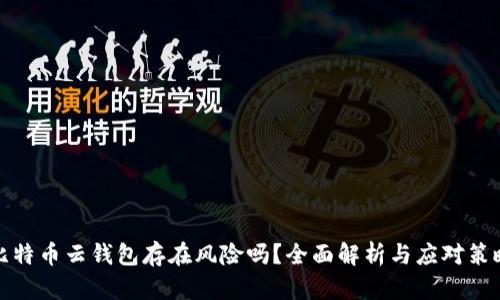 比特币云钱包存在风险吗？全面解析与应对策略