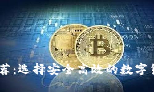 USDT钱包推荐：选择安全高效的数字货币存储方案