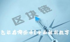 : 以太坊钱包能存哪些币？全面解析数字资产兼容