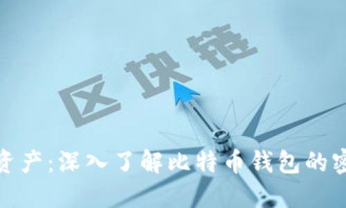 保护你的资产：深入了解比特币钱包的密码安全性