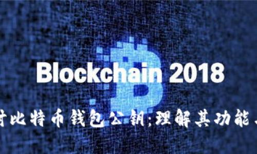 深入探讨比特币钱包公钥：理解其功能与重要性