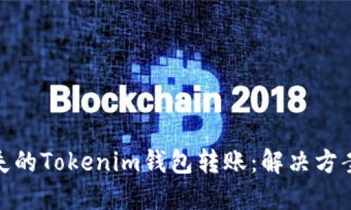 如何找回消失的Tokenim钱包转账：解决方案与预防措施