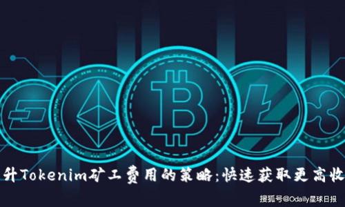 提升Tokenim矿工费用的策略：快速获取更高收益