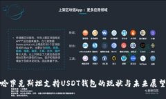 哈萨克斯坦支持USDT钱包的现状与未来展望