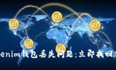 如何处理Tokenim钱包丢失问题：立即找回你的数字