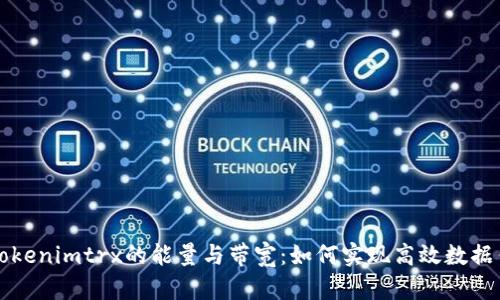 深入解析Tokenimtrx的能量与带宽：如何实现高效数据传输与处理