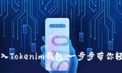 如何导入Tokenim钱包：一步步带你轻松入门