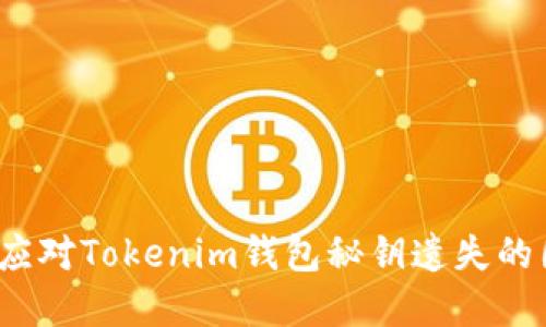 如何应对Tokenim钱包秘钥遗失的困境？
