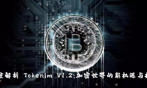 深度解析 Tokenim V1.2：加密世界的新机遇与挑战