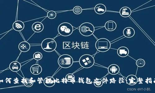 如何查找和管理比特币钱包文件路径：完整指南