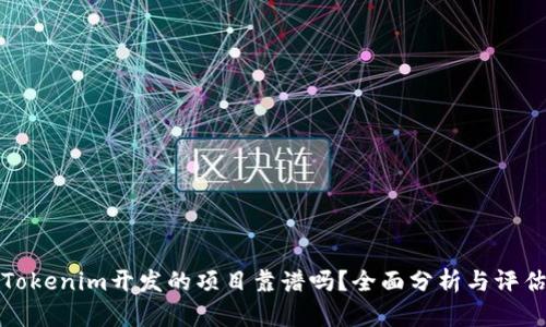 Tokenim开发的项目靠谱吗？全面分析与评估