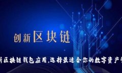全面解析区块链钱包应用，选择最适合你的数字