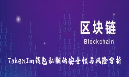 TokenIm钱包私钥的安全性与风险分析