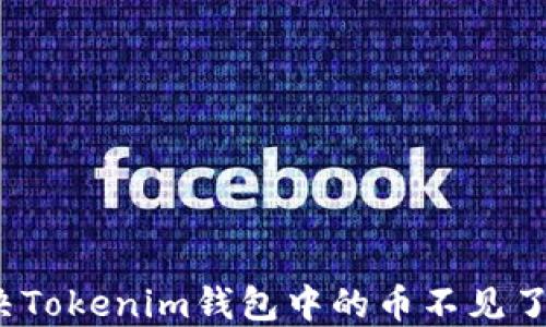 
如何解决Tokenim钱包中的币不见了的问题？