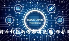 深入探讨比特币钱包的选择与使用：保护你的数