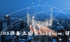 如何在iOS设备上安装Tokenim：详细指南