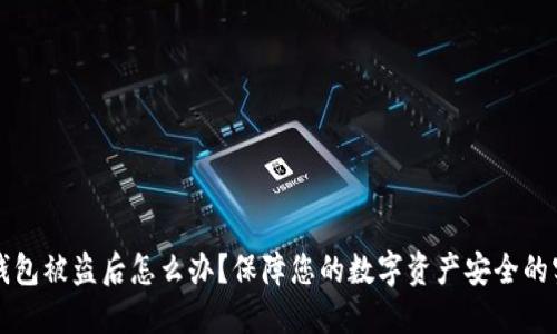 比特币钱包被盗后怎么办？保障您的数字资产安全的实用指南