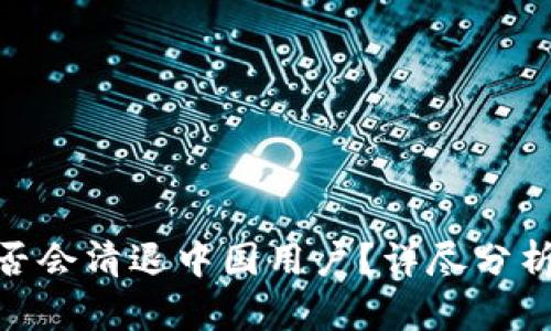 Tokenim是否会清退中国用户？详尽分析及未来展望