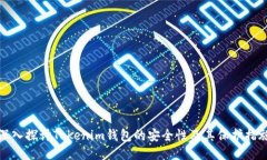 深入探讨Tokenim钱包的安全性及其保护措施