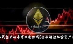 Tokenim钱包里的币可以追踪吗？全面解读加密资产