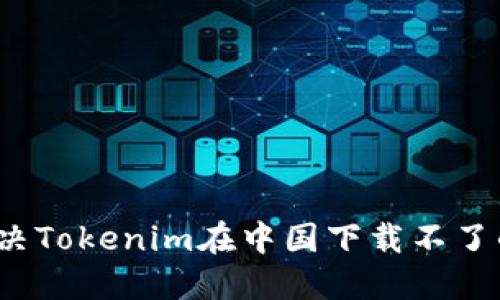 如何解决Tokenim在中国下载不了的问题？