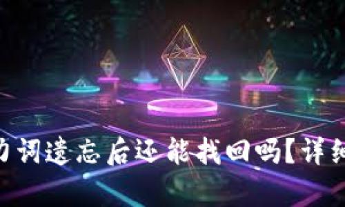 Tokenim钱包助力词遗忘后还能找回吗？详细解析与解决方案