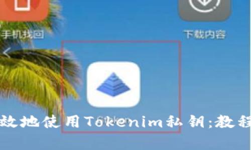 如何安全有效地使用Tokenim私钥：教程与最佳实践
