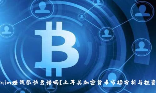 Tokenim赚钱很快靠谱吗？土耳其加密货币市场分析与投资建议